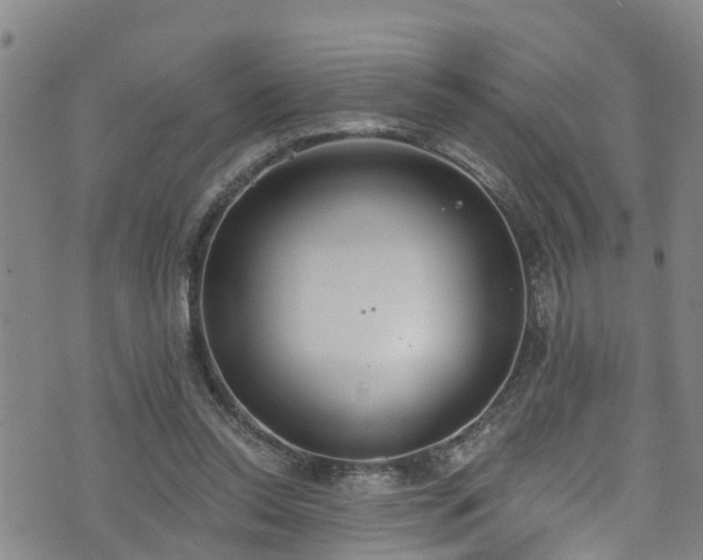 X0000074940350200609011121