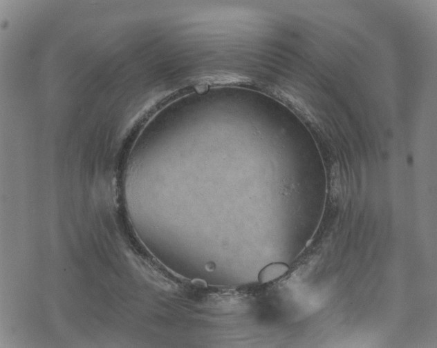 X0000074940351200609011121