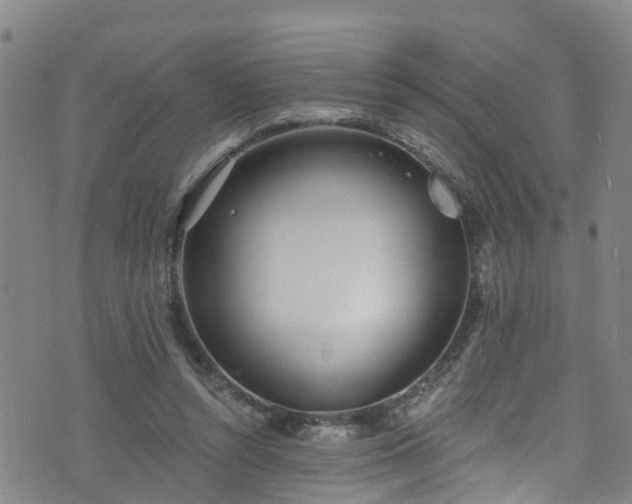 X0000074940352200609011121