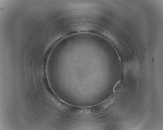 X0000074940353200609011121