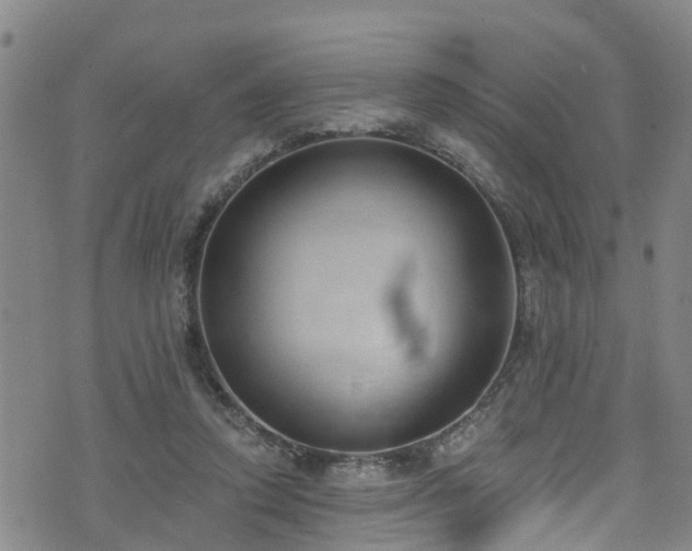 X0000074940354200609011121