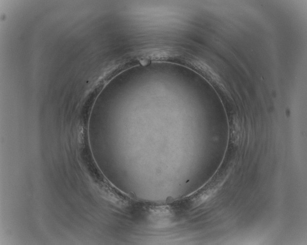 X0000074940355200609011121