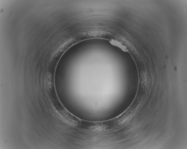 X0000074940356200609011121