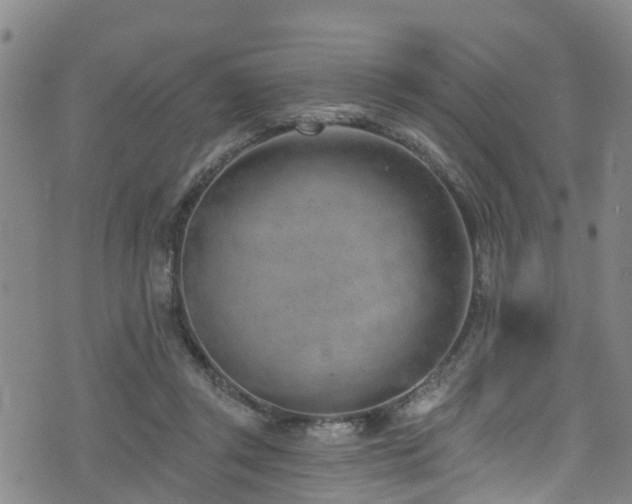 X0000074940357200609011121