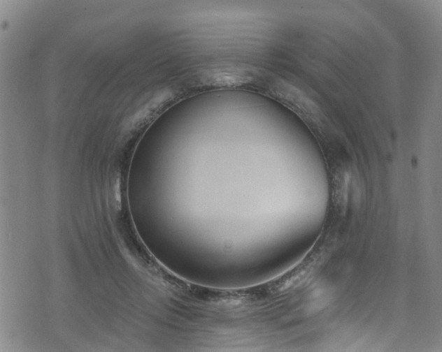 X0000074940358200609011121