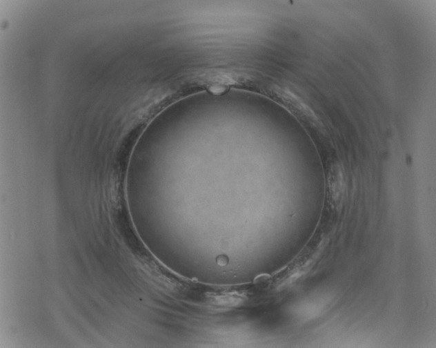 X0000074940359200609011121