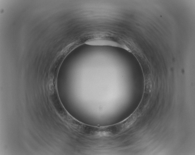 X0000074940360200609011121