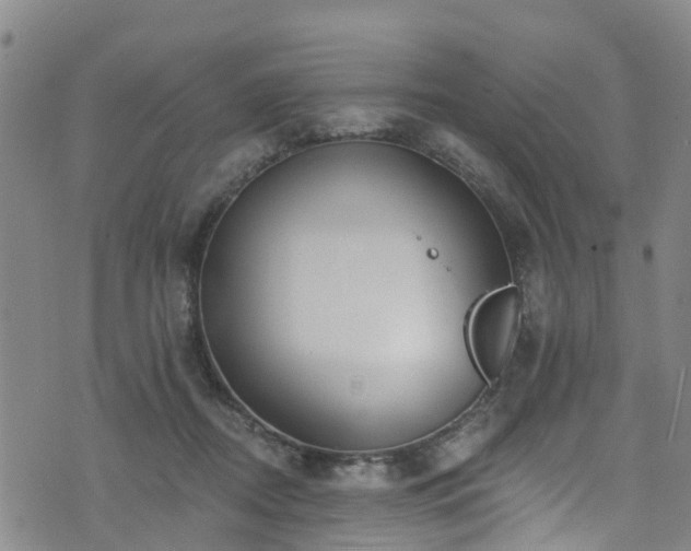 X0000074940362200609011121