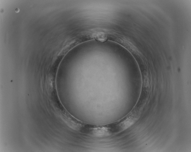 X0000074940363200609011121