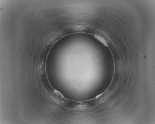 X0000074940364200609011121