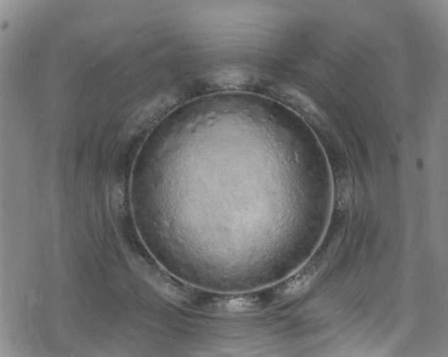 X0000074940365200609011122