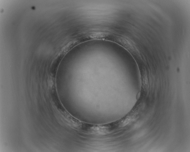 X0000074940367200609011122