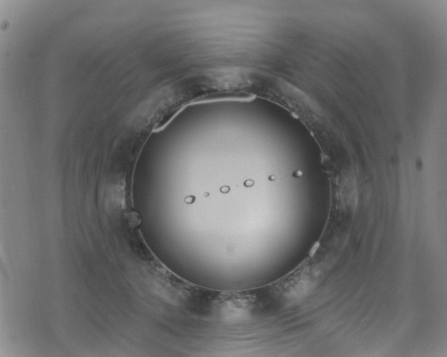 X0000074940368200609011122