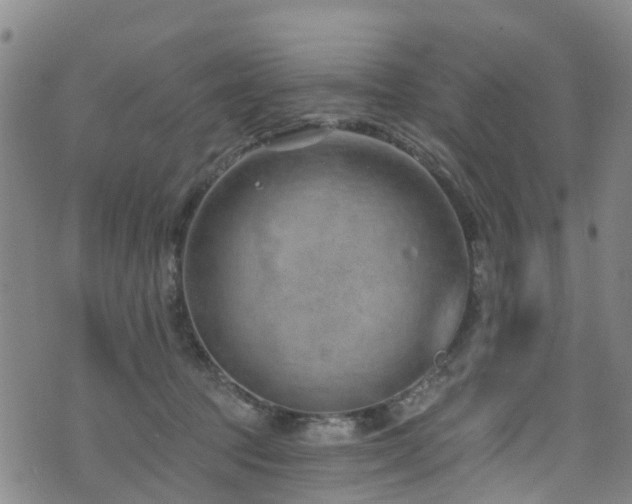 X0000074940369200609011122