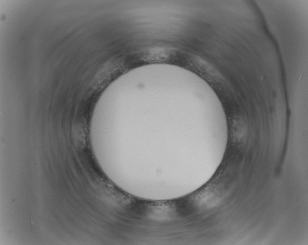 X0000074940370200609011122