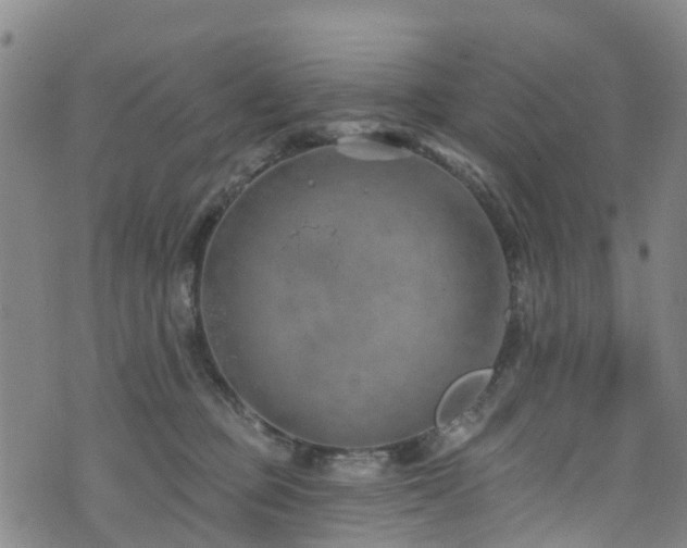 X0000074940373200609011122