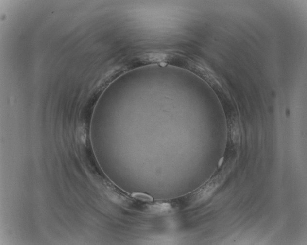 X0000074940374200609011122