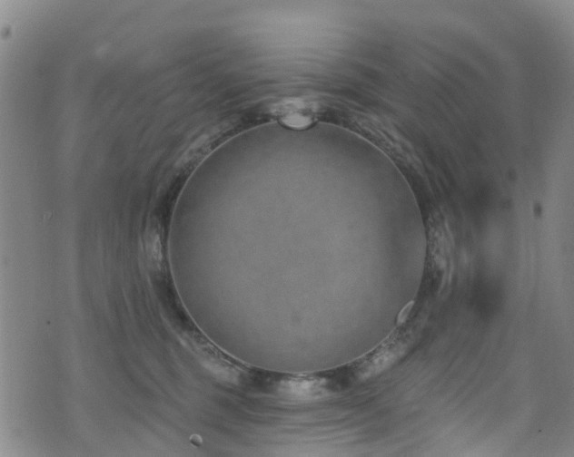 X0000074940375200609011122