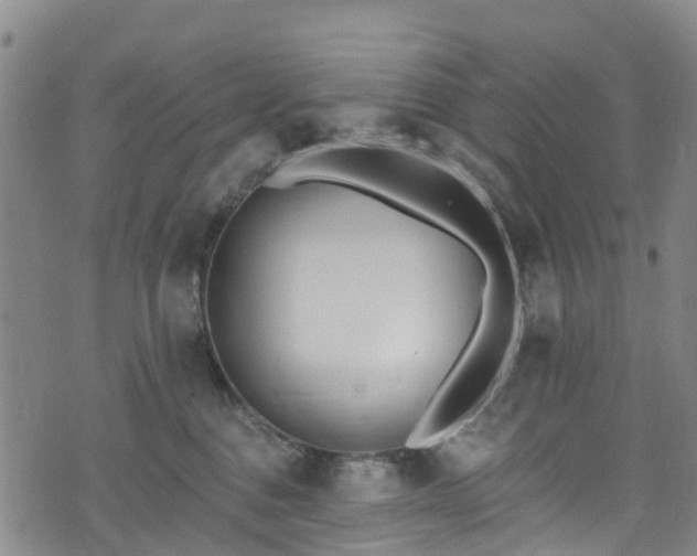 X0000074940376200609011122