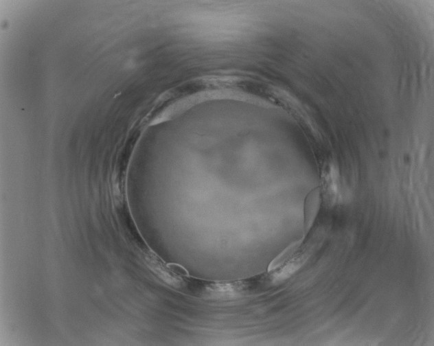 X0000074940381200609011122