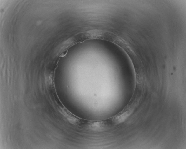 X0000074940382200609011122