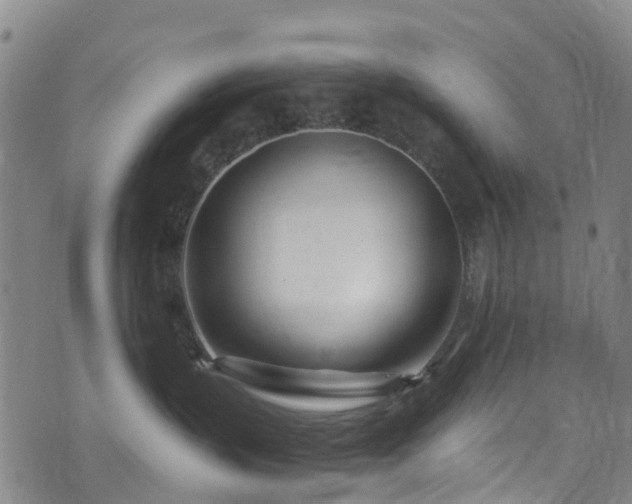 X0000074940383200609011122