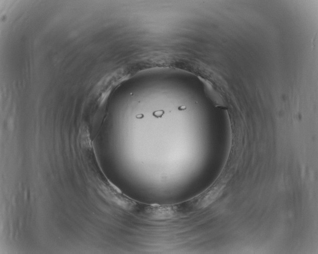 X0000074940384200609011122