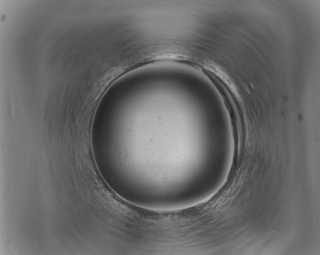 X0000074940385200609011121