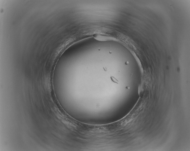 X0000074940386200609011121