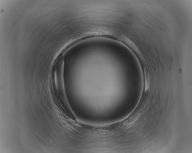 X0000074940387200609011121