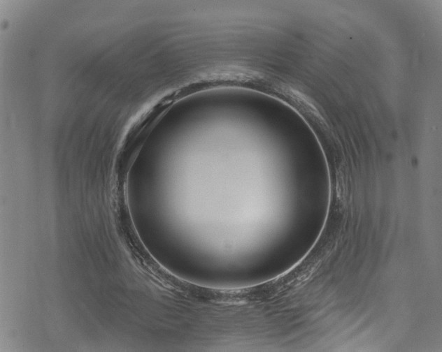 X0000074940388200609011121