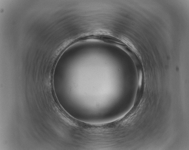 X0000074940389200609011121