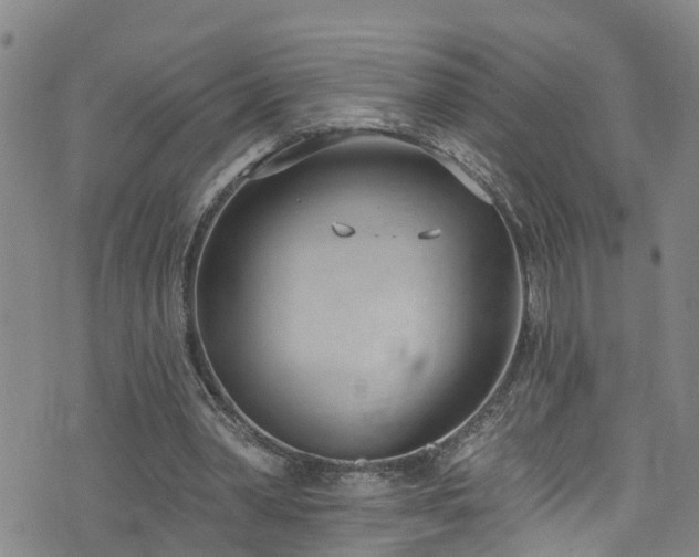 X0000074940390200609011121