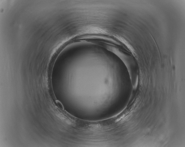 X0000074940391200609011121