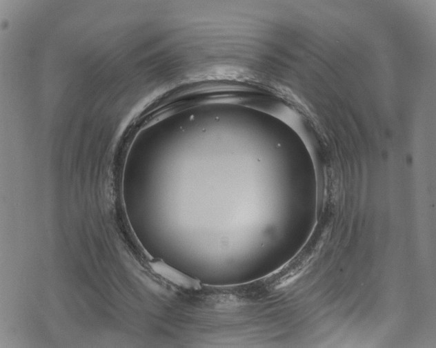 X0000074940392200609011121