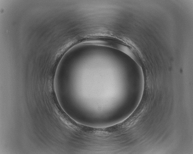 X0000074940393200609011121