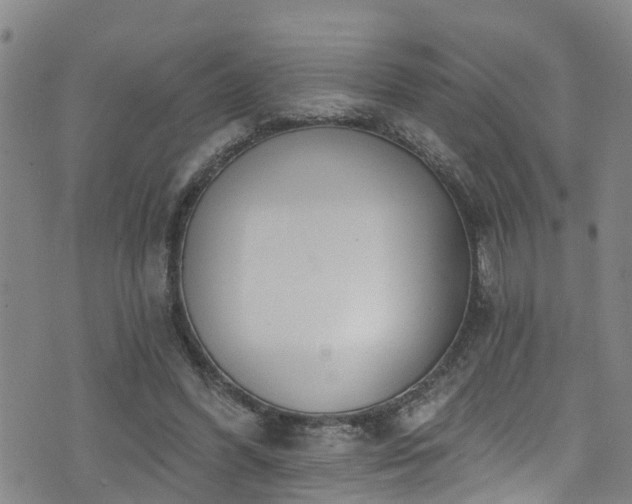 X0000074940396200609011121