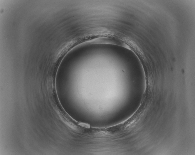 X0000074940397200609011121