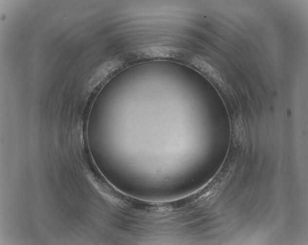 X0000074940398200609011121