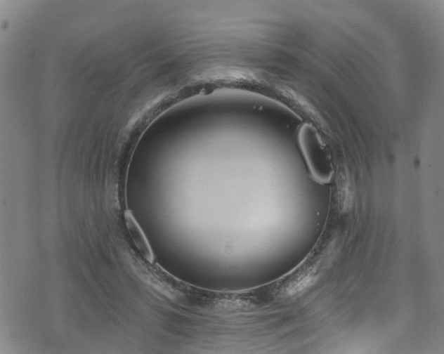 X0000074940399200609011121