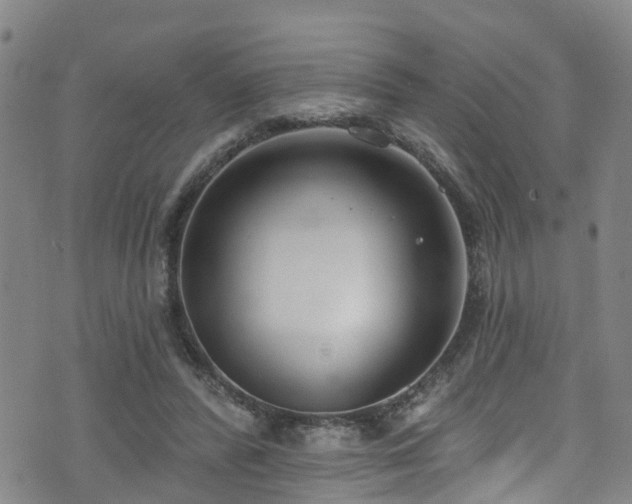 X0000074940400200609011121