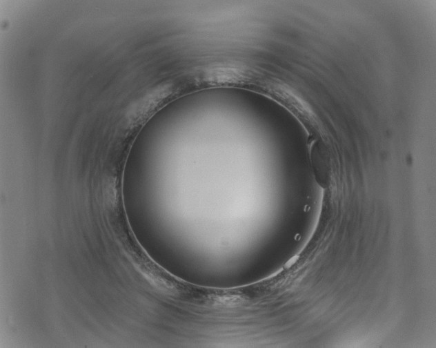 X0000074940401200609011121