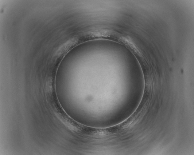 X0000074940402200609011121