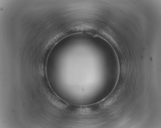 X0000074940403200609011121