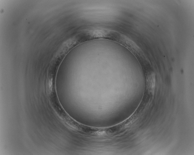 X0000074940406200609011121