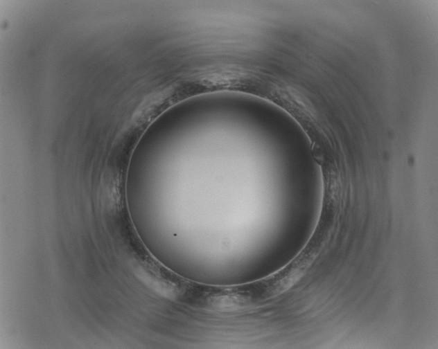 X0000074940408200609011121