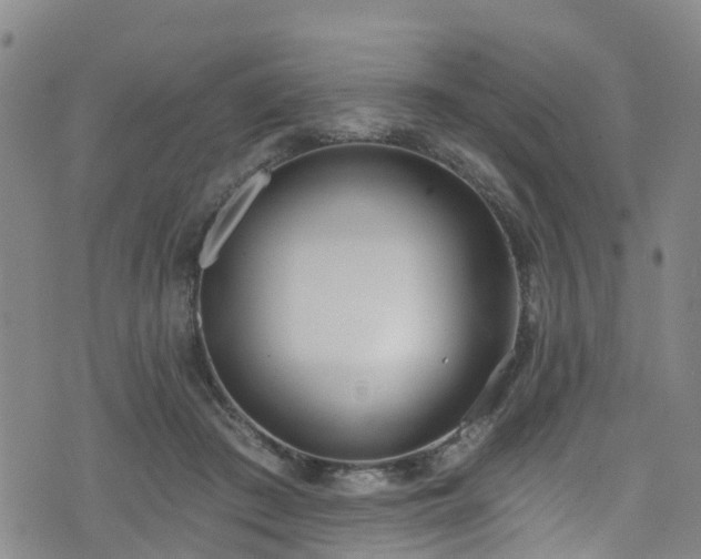 X0000074940409200609011121