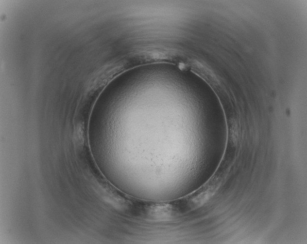 X0000074940410200609011121