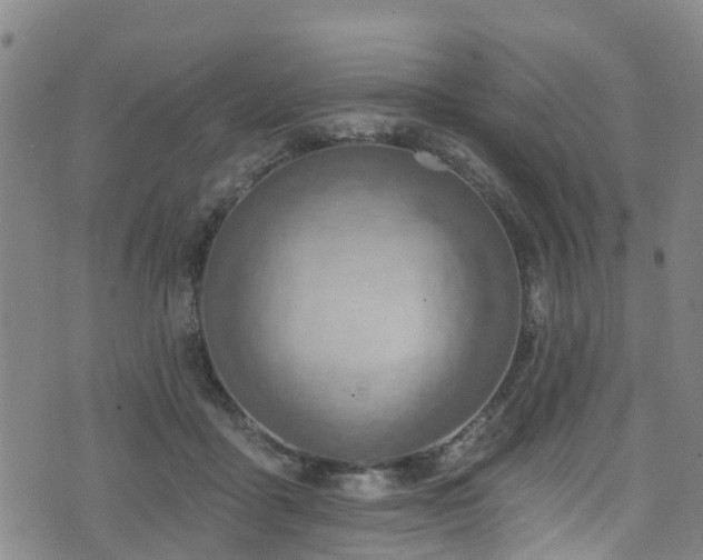 X0000074940411200609011121