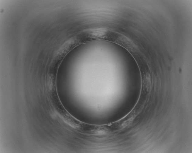 X0000074940412200609011121